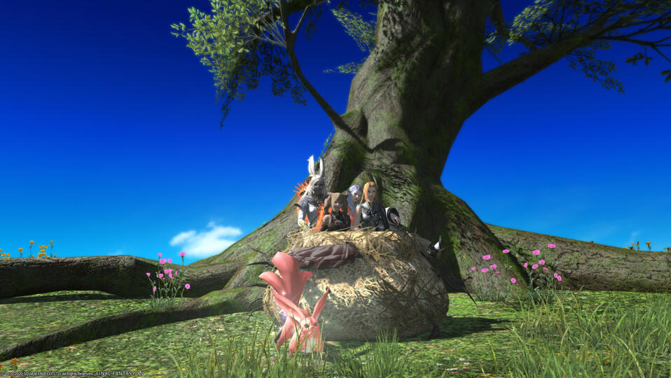 Floor 100 Get! || By Morgana