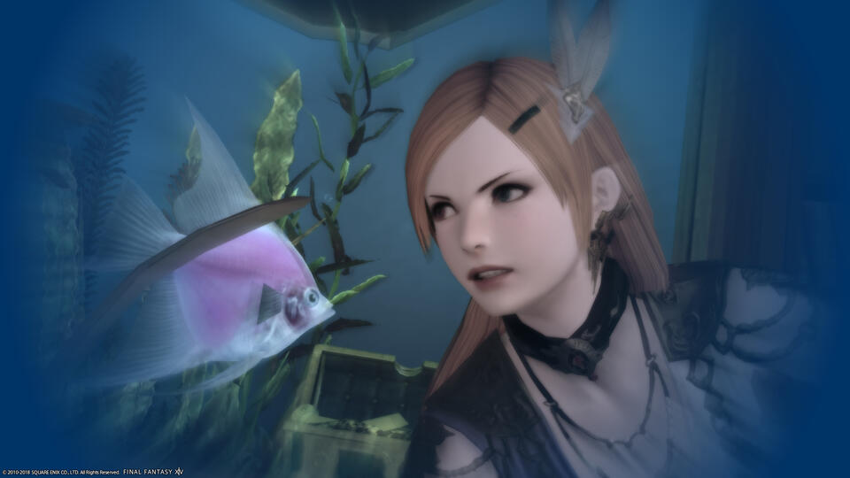 Photobombing Fish || By Morgana